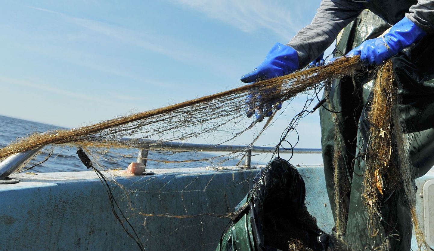 Keskonnainspektsioon puhastas kalurite abiga Peipsi järve vanadest võrkudest.