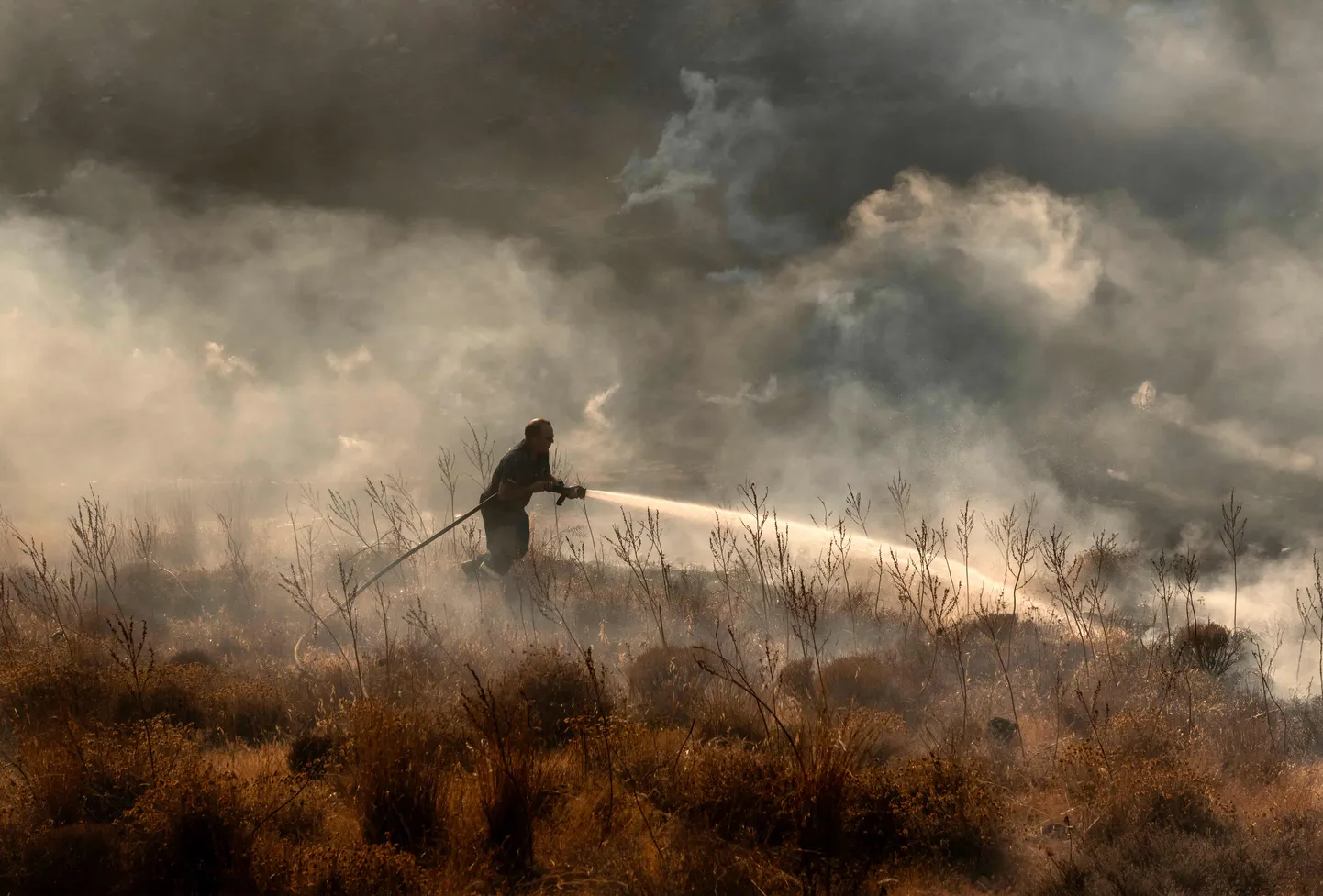 Küprose tuletõrjuja leekidega võitlemas.