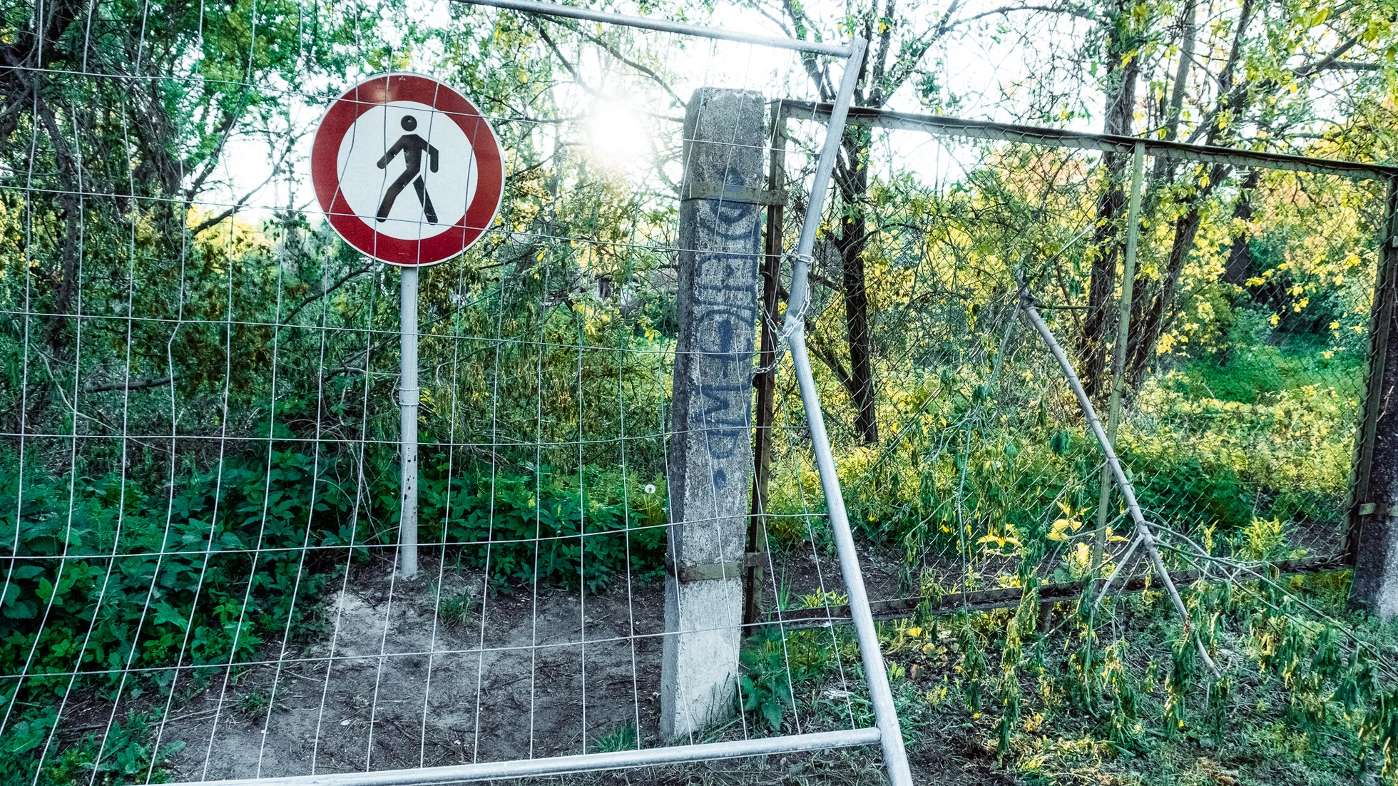 Фото статьи