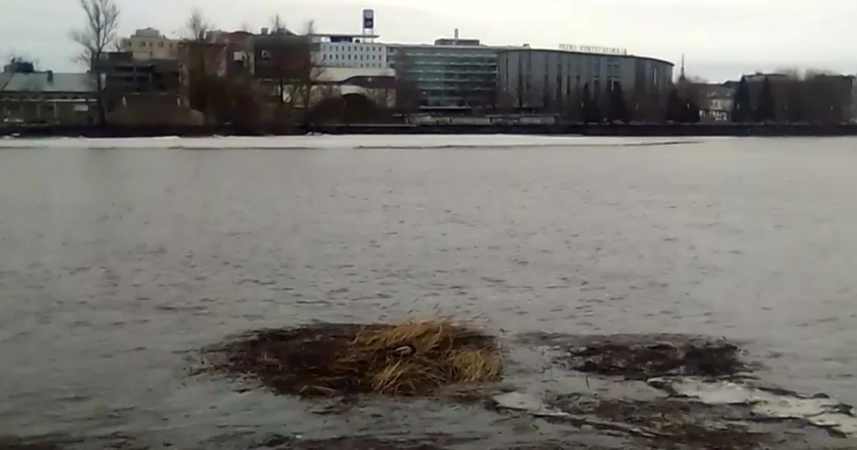 Video: part kirjutas Pärnus tasuta transpordi lukku uue peatüki