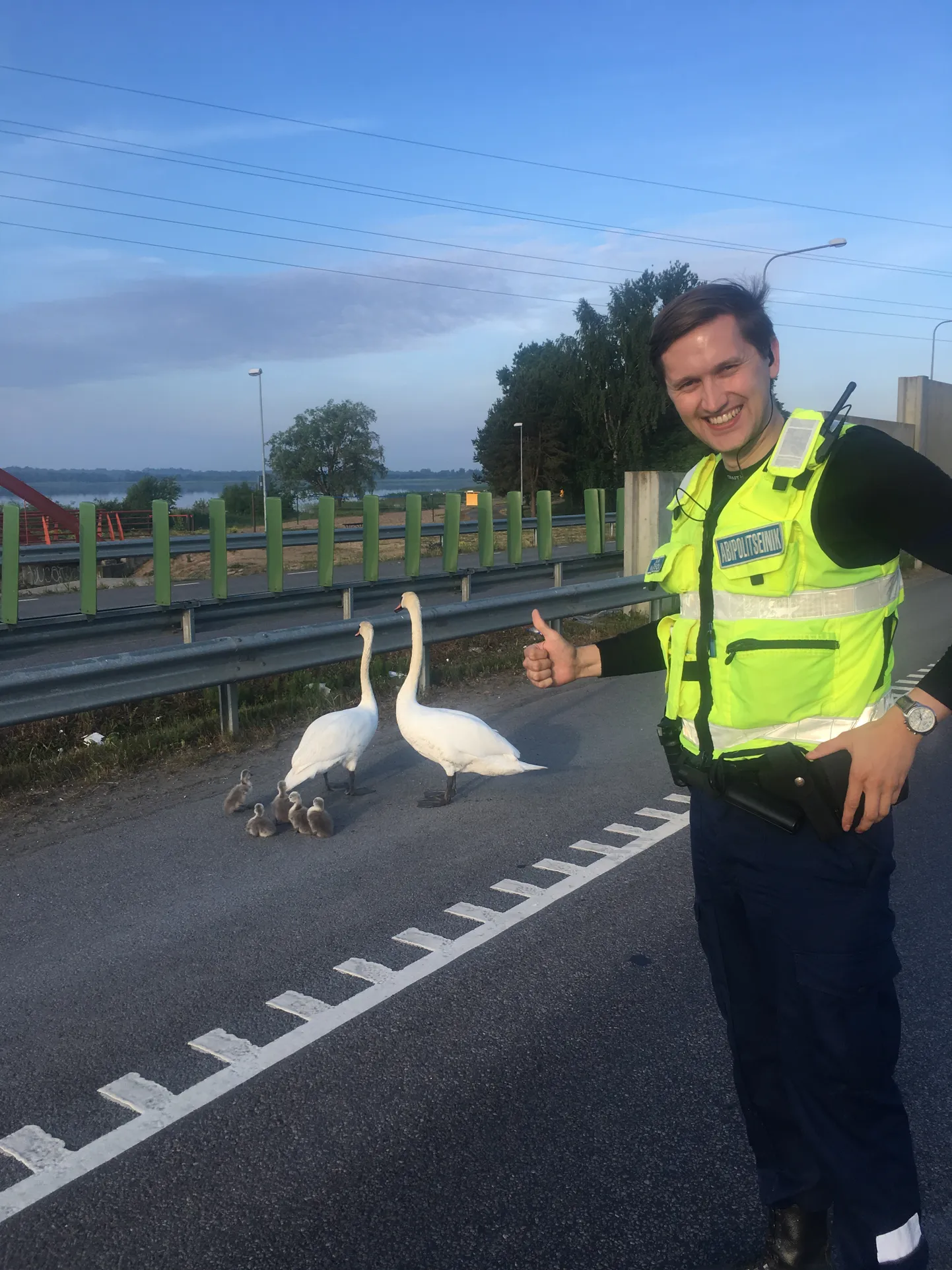Jaak Madison päästab abipolitseinikuna luigepere.
