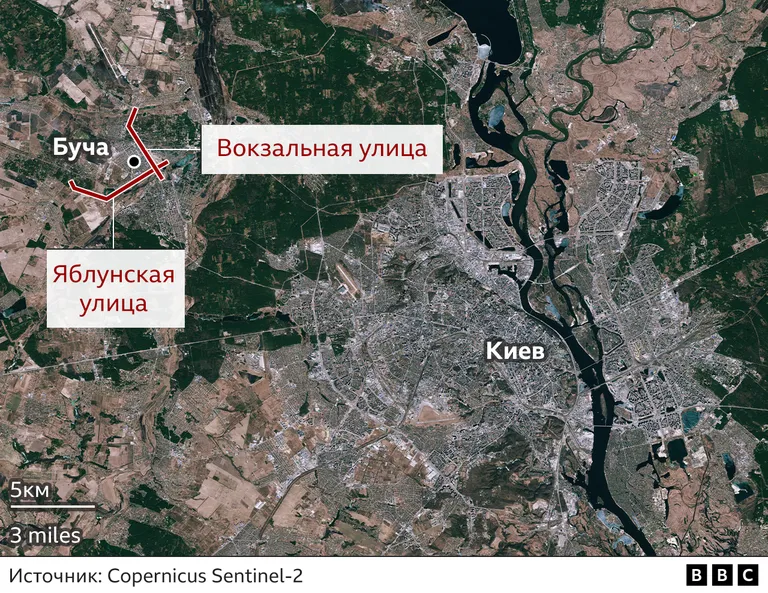 Фото статьи
