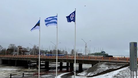 Житель Таллинна в недоумении: что случилось с флагом города?