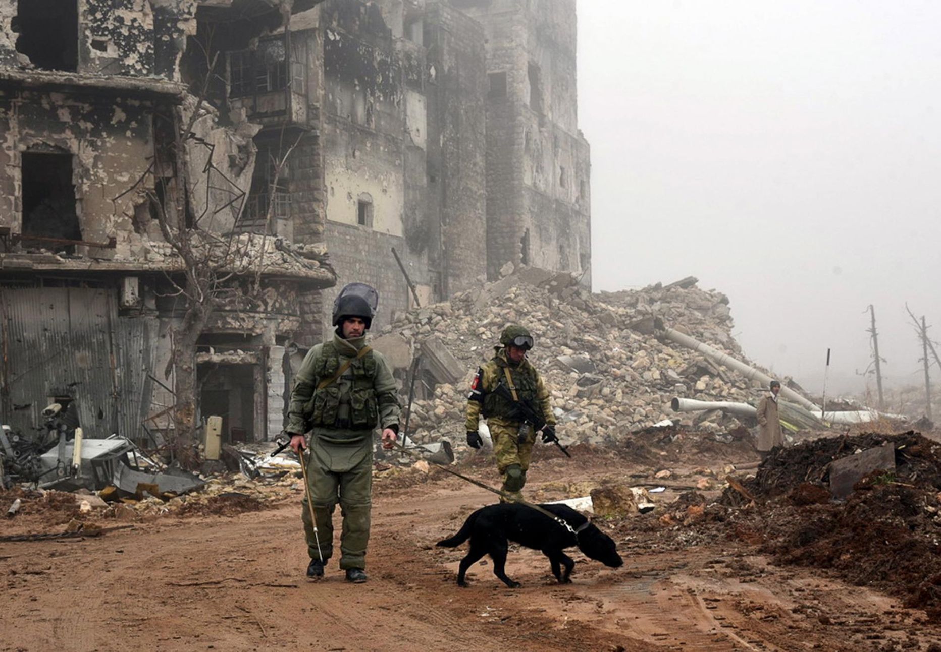 Vene sõdurid koos koeraga osalemas Süüria linna Aleppo puhastamises miinidest.