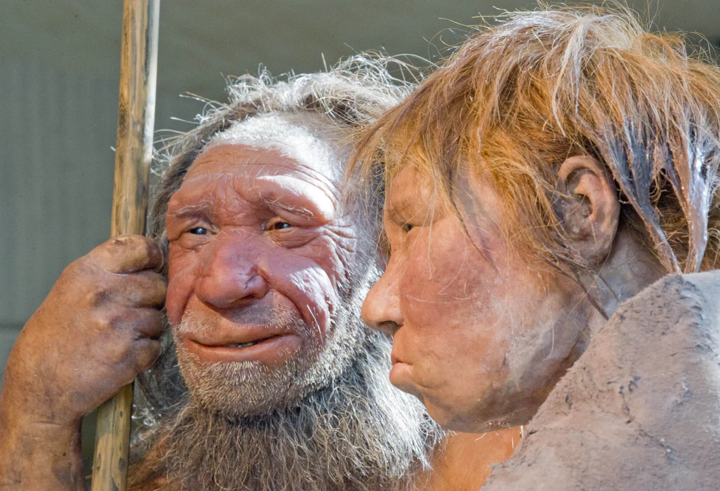 Neandertallaste rekonstruktsioon