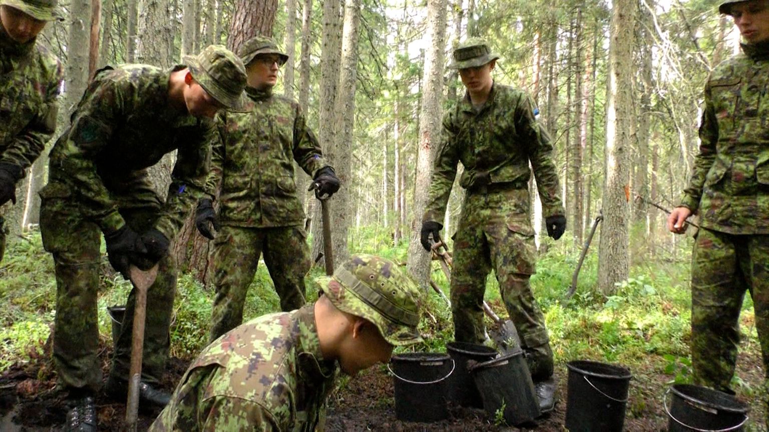 Военнослужащие помогут восстановить болото