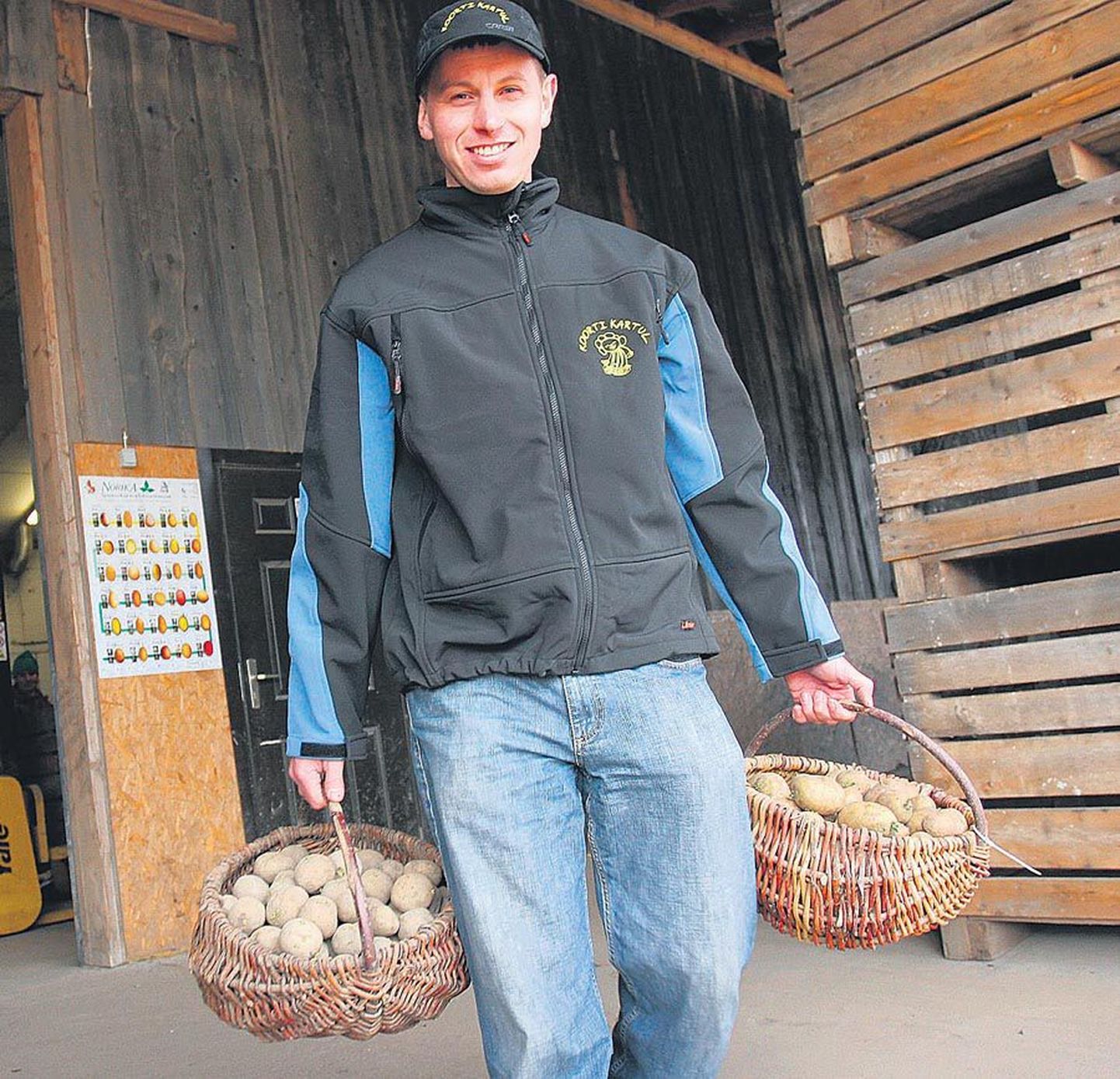Väikesaare talus kartuleid kasvatav Janek Lass ütleb, et kõige sobivam aeg kartul maha panna on ikka siis, kui toomingas õitseb.