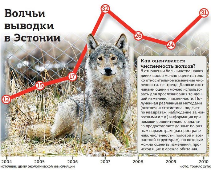 Кто жил в доме волка