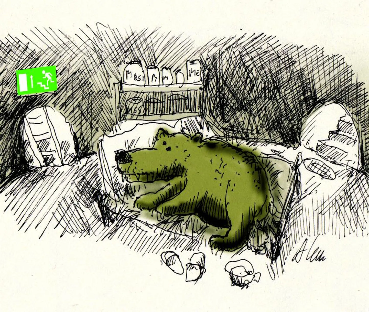Karukoopa varuväljapääs.
