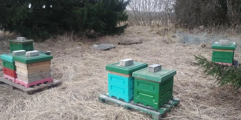 Четыре таких улья унесли воры.