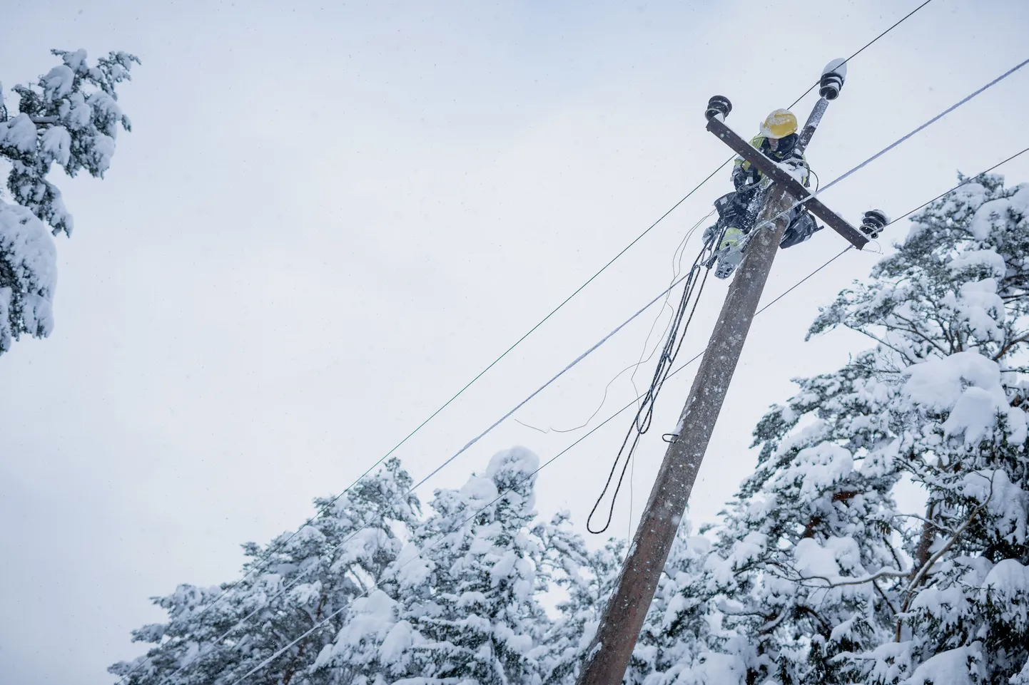 Elektrikatkestuse tipphetkel oli Saaremaal korraga elektrita 6500 majapidamist