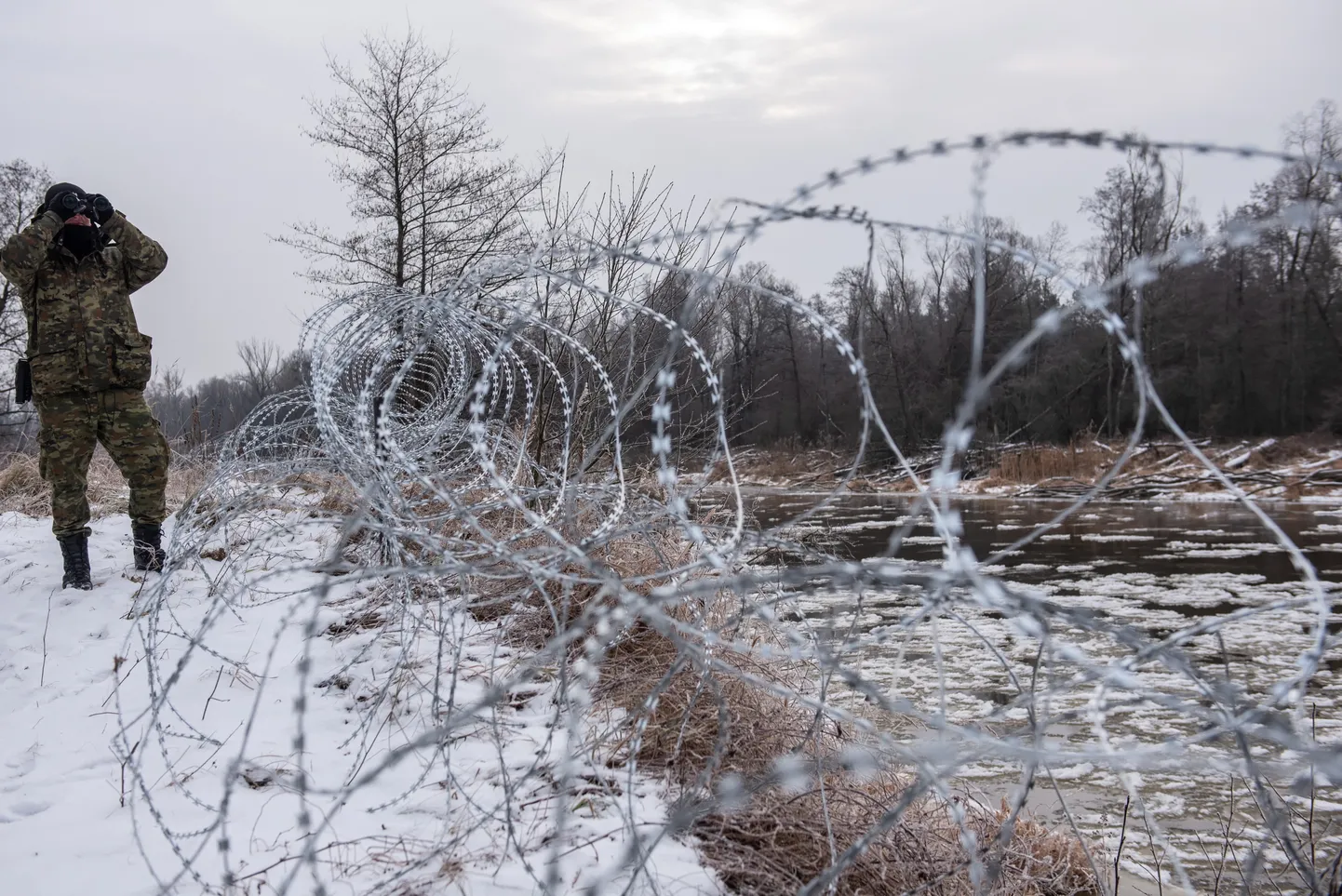 Колючая проволока на границе. Иллюстративное фото