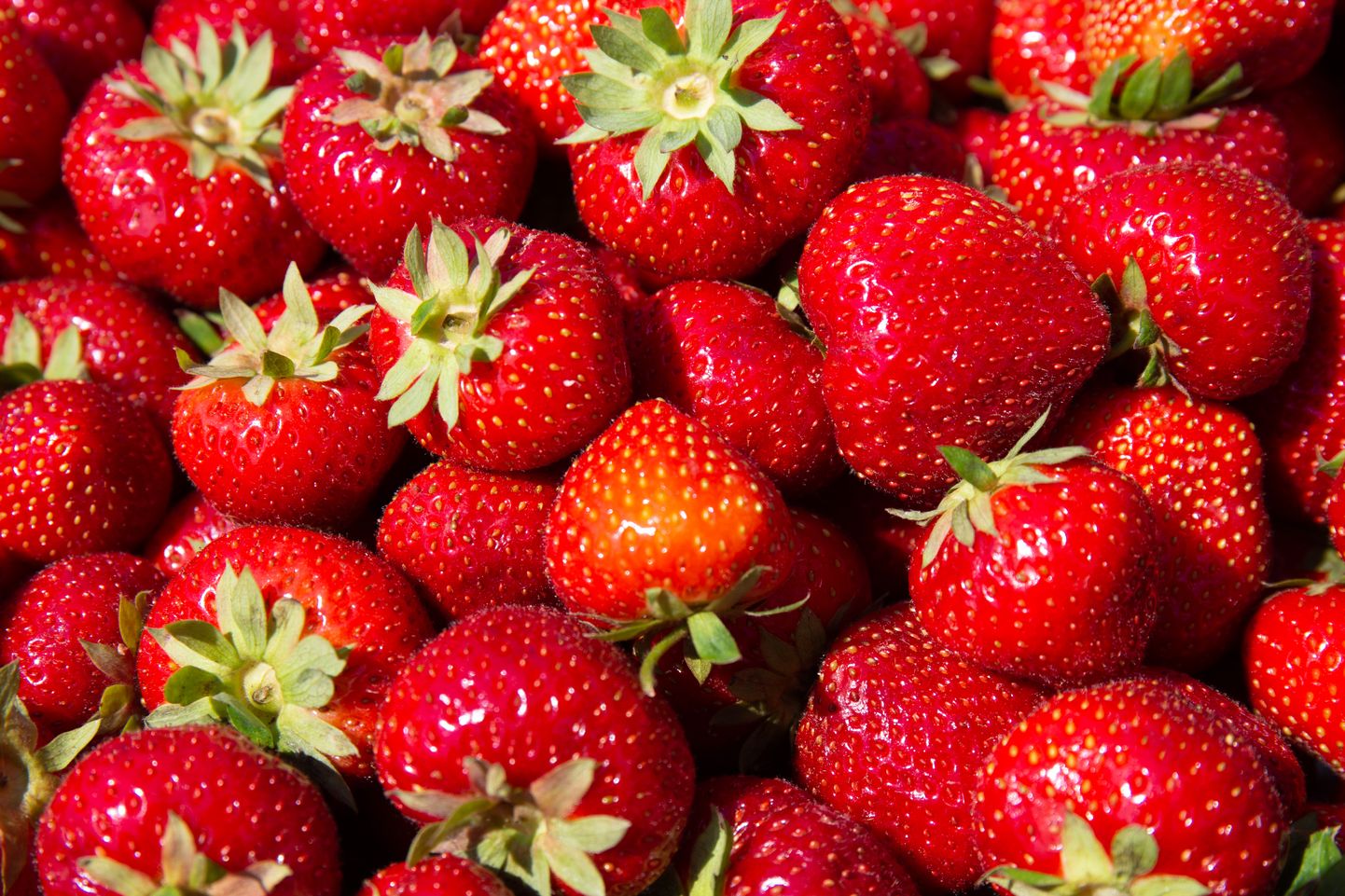 Eesti maasikad Viljandi turul.