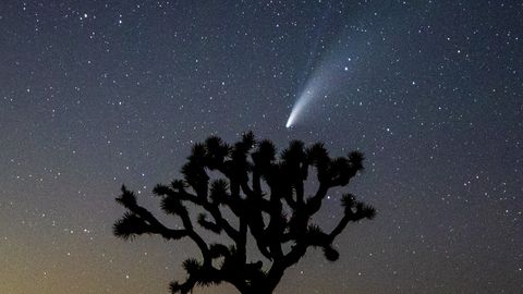 Praegu saab vaadata komeet Neowise’i, milles on 13 miljonit olümpiabassenitäit vett