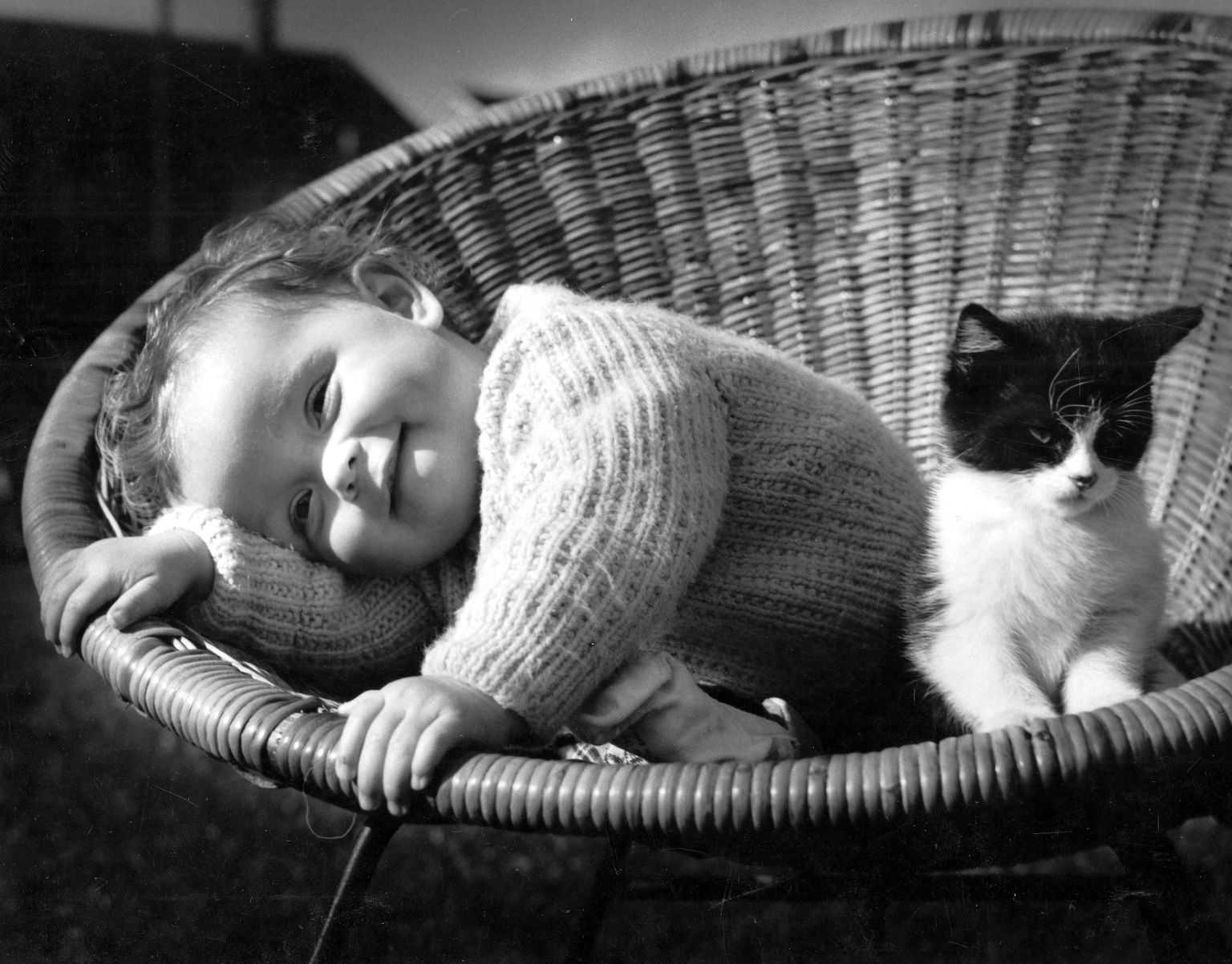 Väiksed lapsed ja kassid võivad olla väga suured sõbrad, kuid neid omapäi jätta ei soovitata.