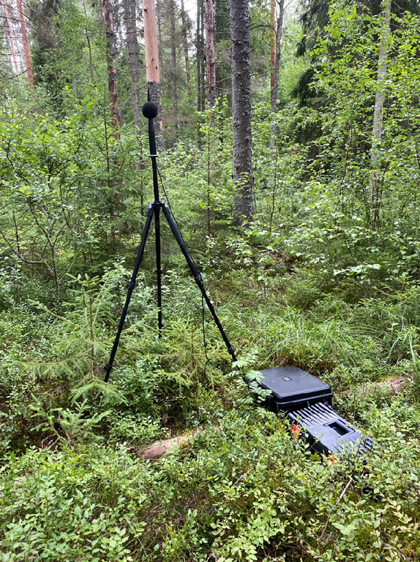 Müramõõtmised. Foto on illustratiivne.