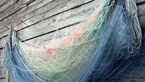 Большой улов: эстонский рыбак должен заплатить государству тысячи евро