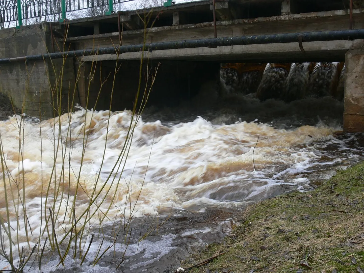 Suurvesi Valga Ramsi paisul