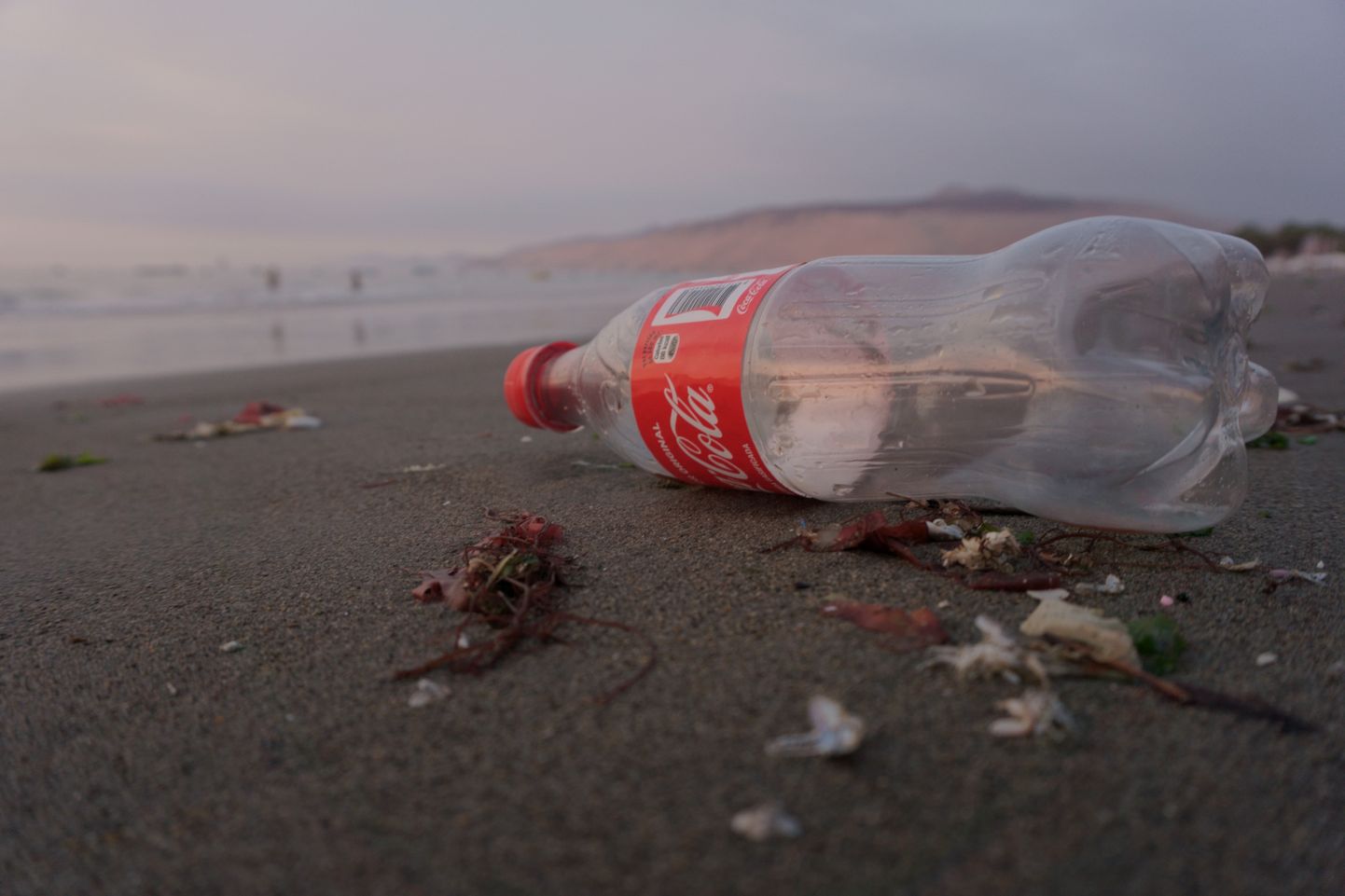 "Coca-Cola" plastmasas pudele.