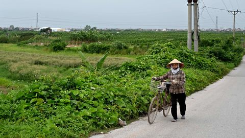 Vietnamlastel tuleb Trumpi golfiväljaku rajamiseks kaevata hauast välja oma lähedaste säilmed