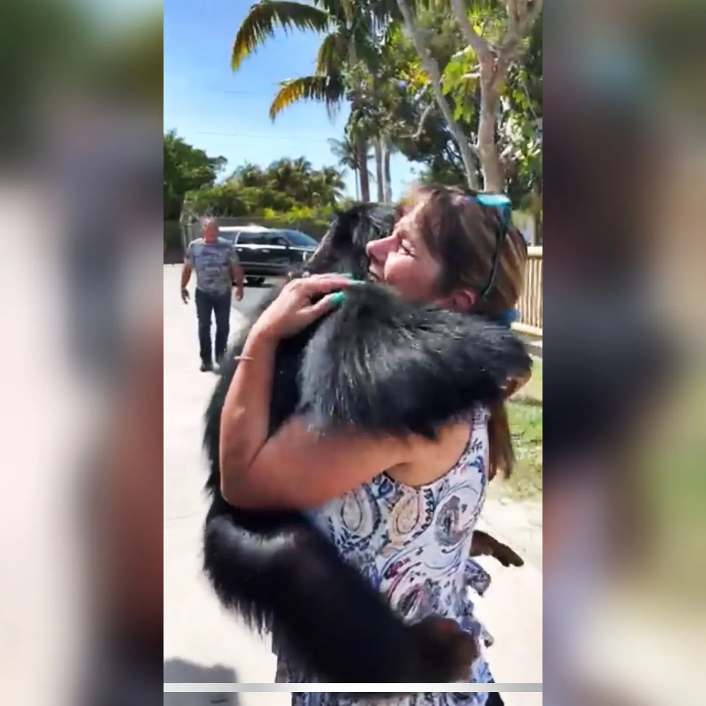 Kuvatõmmis ZWF MIAMI Youtube videost