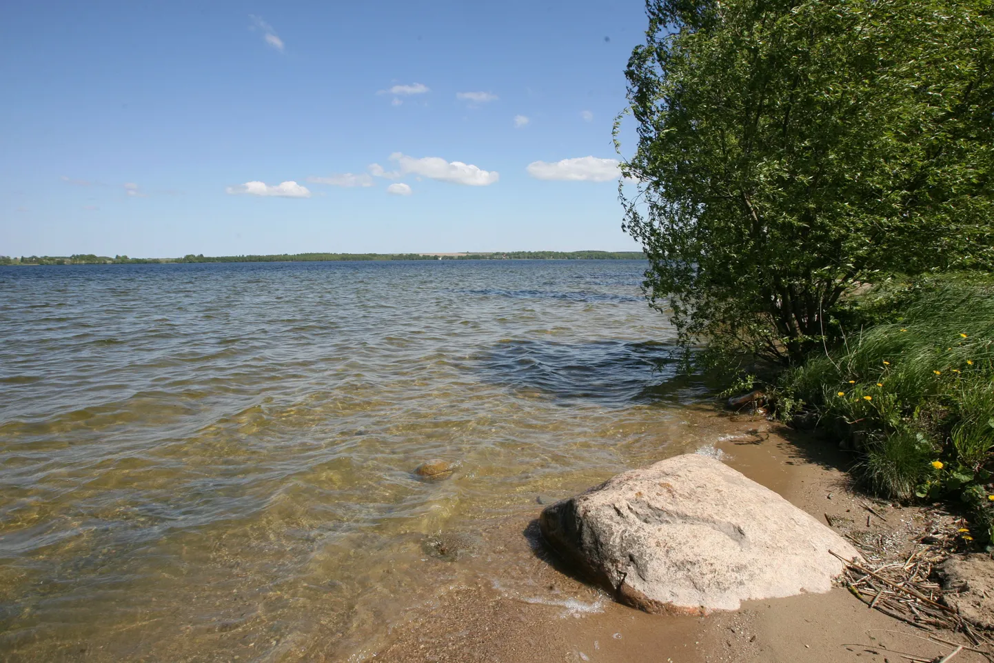 Saadjärv.
