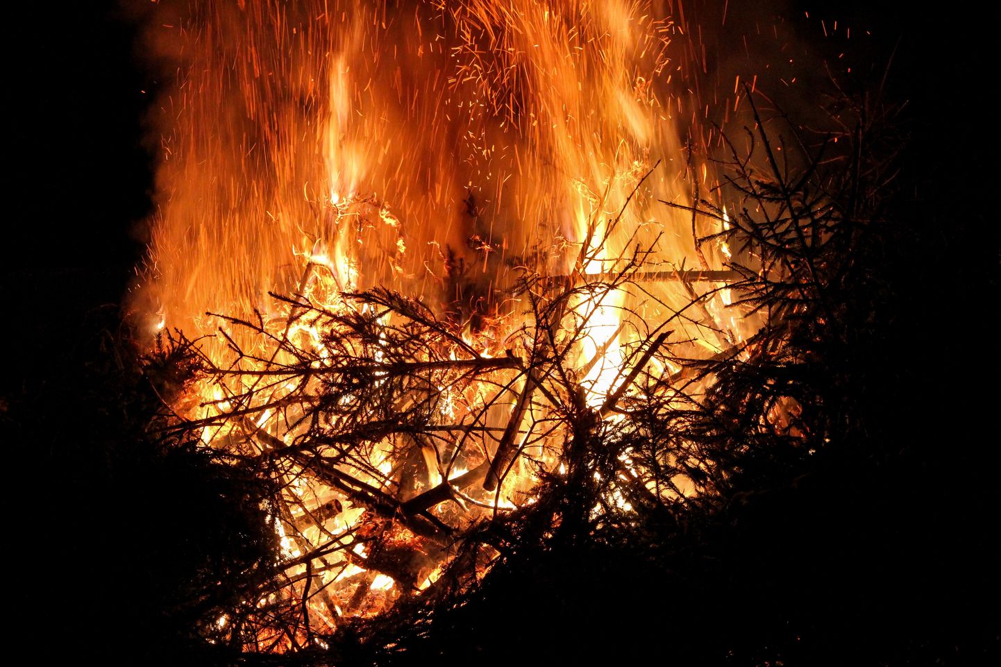 Täna põlevad kuused suures lõkkes Palupera vallas. Ühised kuuskede põletamised on maakonnas ees veel Põdrala ja Karula vallas.