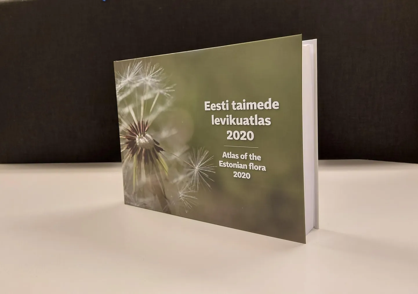 Kaanepildil on taim, kes kuulub punavilivõilillede hulka ning keda leidub läänesaartel ja -rannikul, aga samuti põhjarannikul.