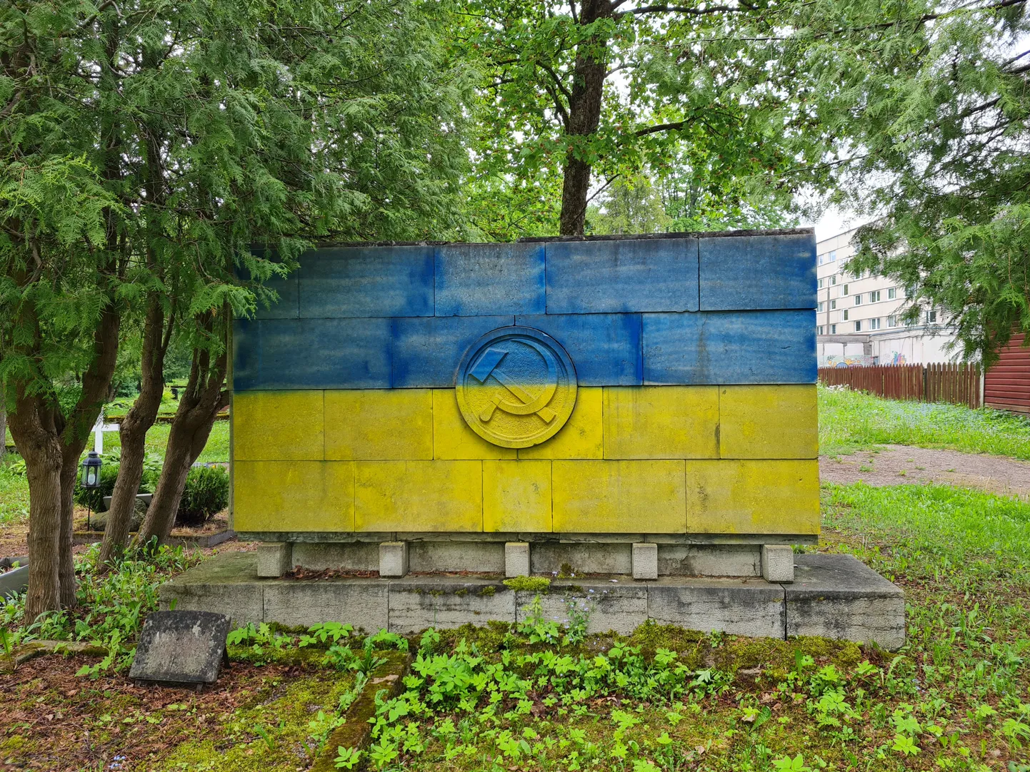 Фото статьи