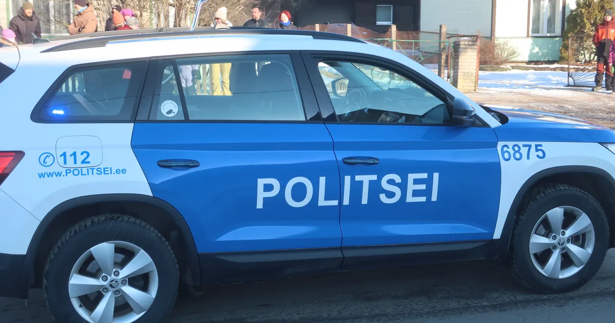 Politsei leidis kadunud tütarlapse