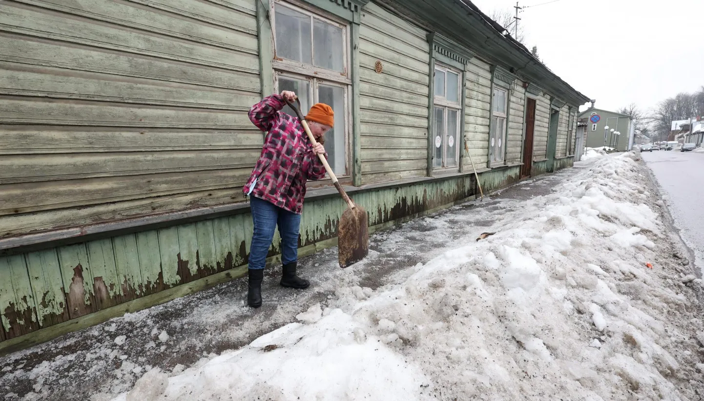 Tänavu jaanuaris tehtud arhiivifotolt on hästi näha, millist vaeva nägi Kalevi 20 elanik Lea Kimmel oma maja ees 25 meetri pikkusel kõnniteel jää lõhkumisega. Ta nentis toona, et keegi pole talle talve jooksul appi tulnud.