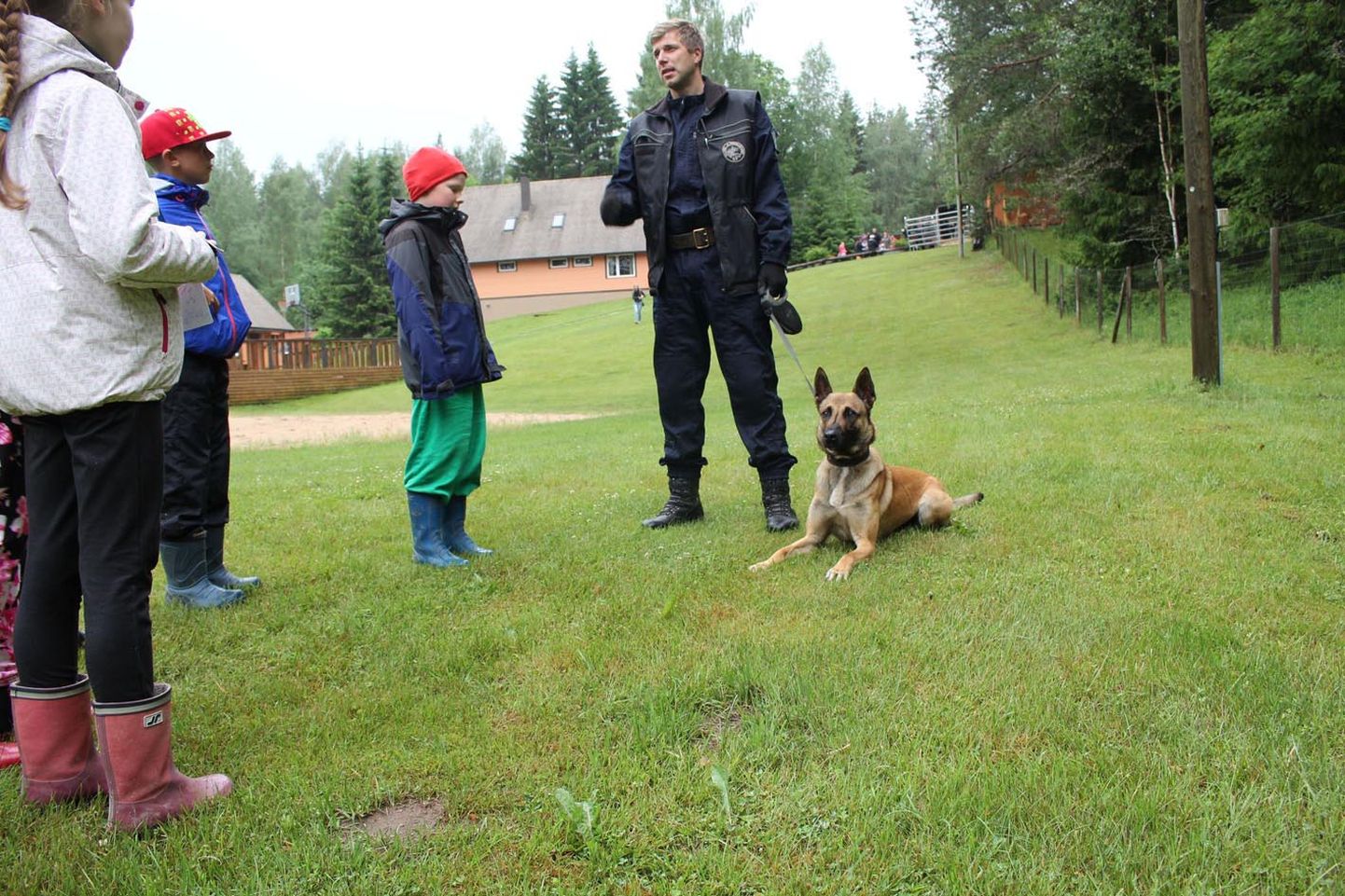 Järva vallas Kallisabal olnud perepäeval näitas koerajuht Taavi Idavain, mida koer Jäpe teha oskab.