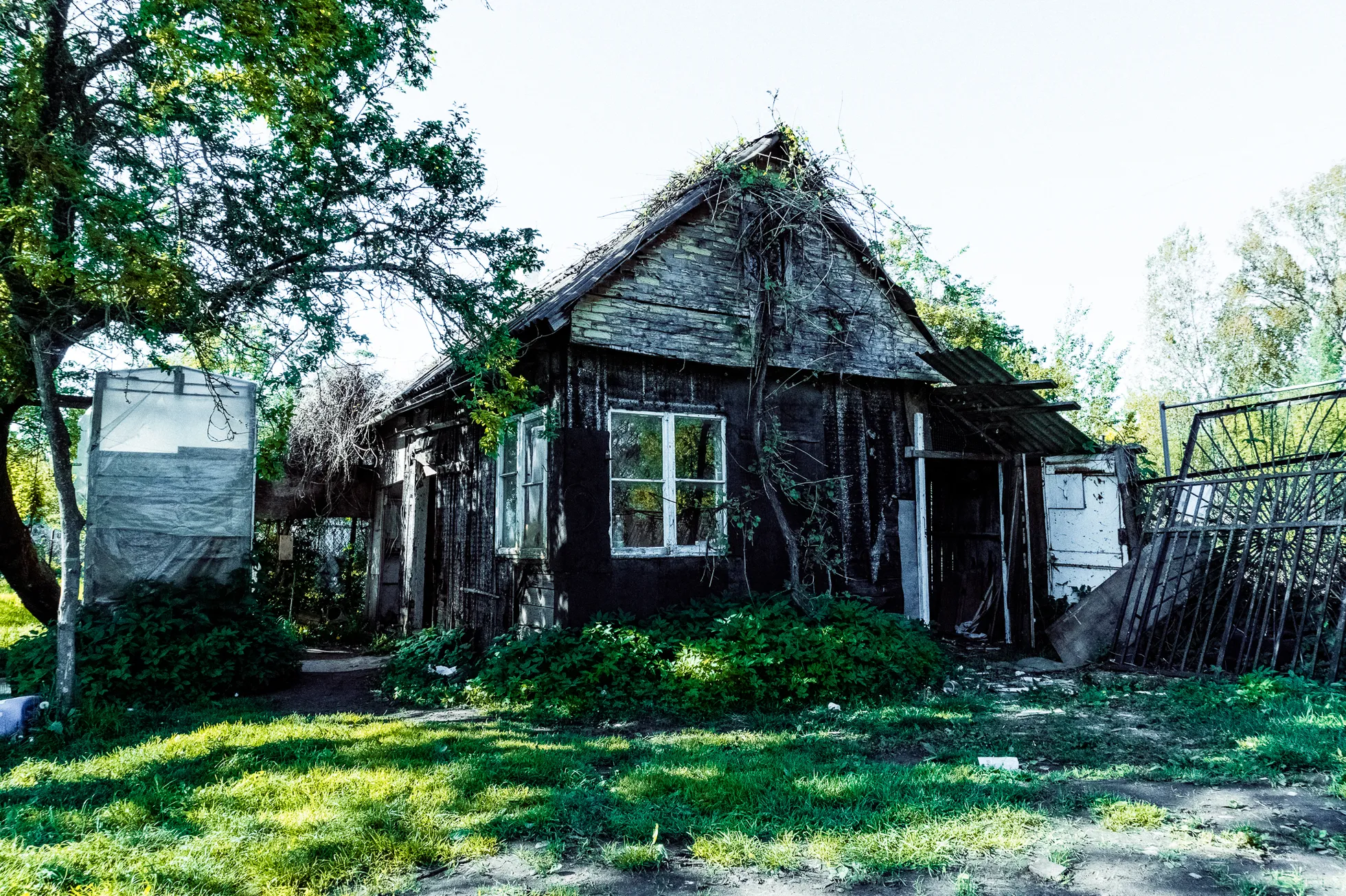 Фото статьи