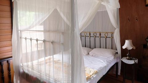 EBAMEELDIV KÜLASTAJA! ⟩ Florida naine rentis airbnb, et seal esemetele urineerida