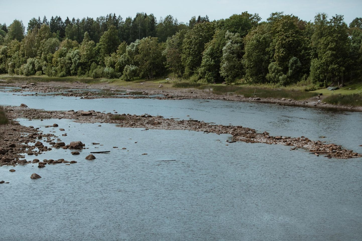 Krooniliselt madal Pärnu jõe veetase halvendaks ikkagi kalastiku ja muu vee-elustiku käekäiku, olgu pais kadunud või ei.