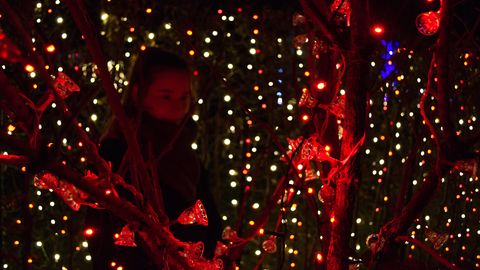 NÄDALAHOROSKOOP ⟩ Vähi partner aktiveerub, Skorpion peab valima oma kulutused targalt