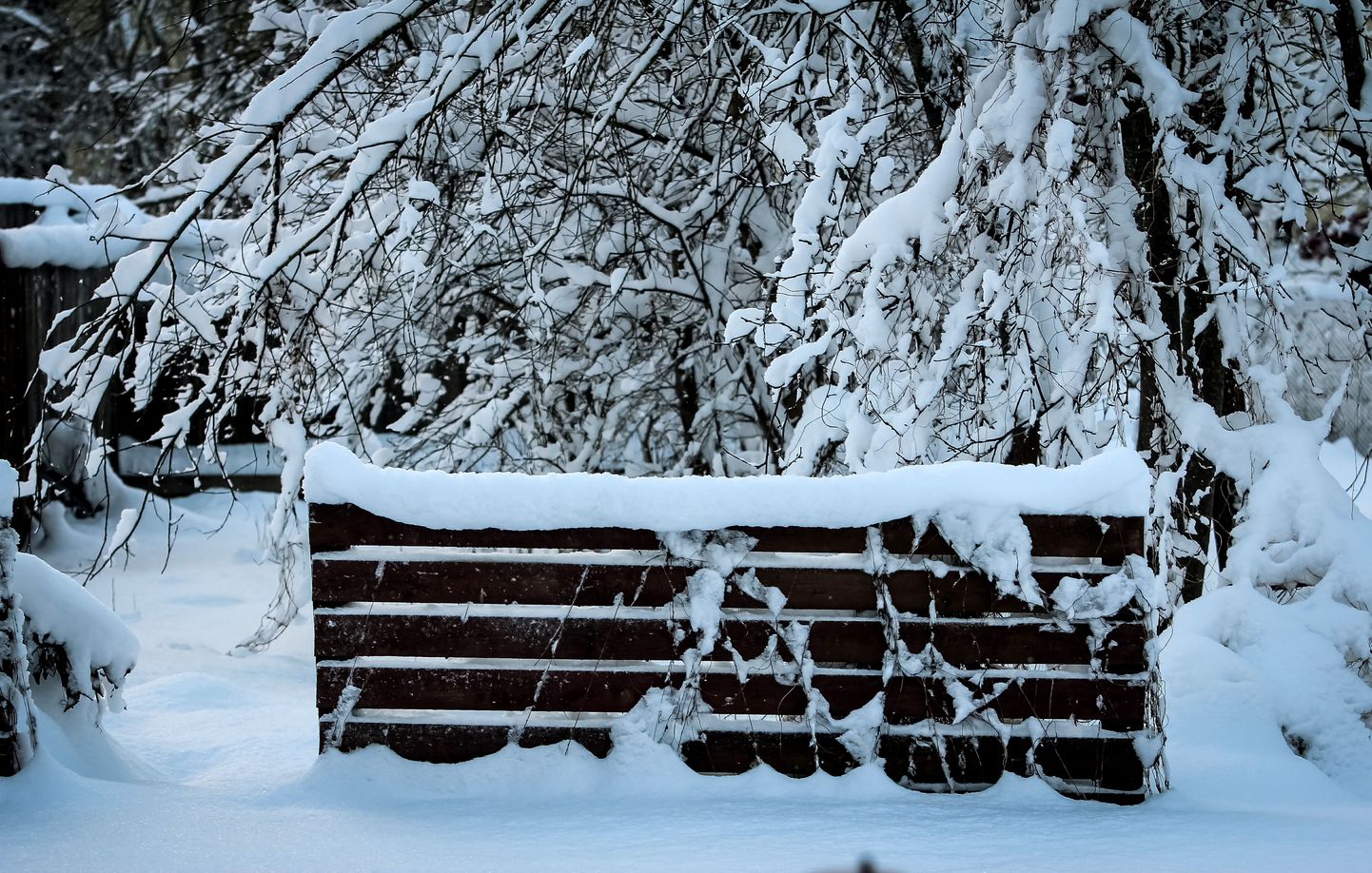 Зима в Пярну.