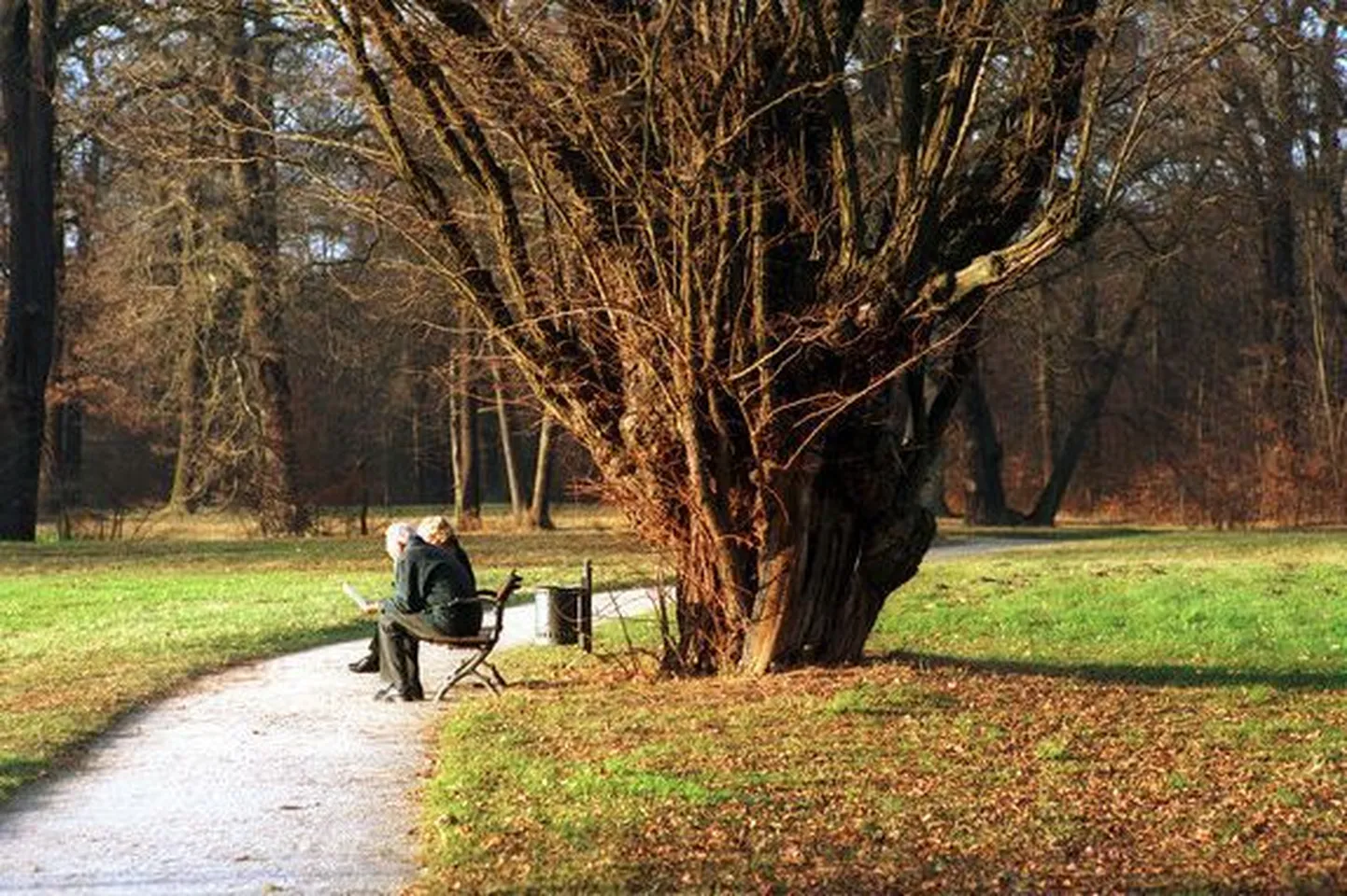 Pensionärid pargipingil..