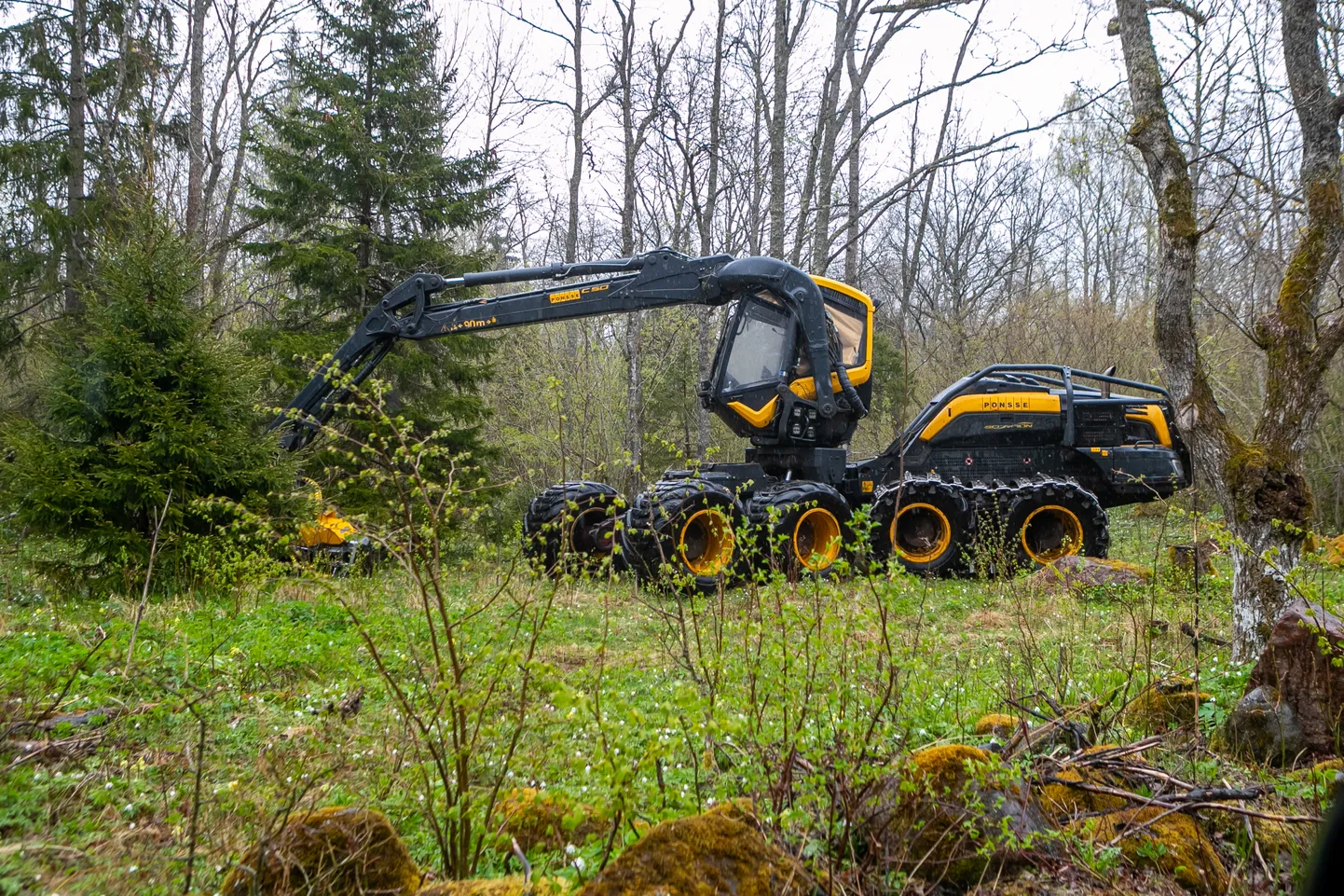 Harvester puid maha võtmas. Foto on illustratiivne.
