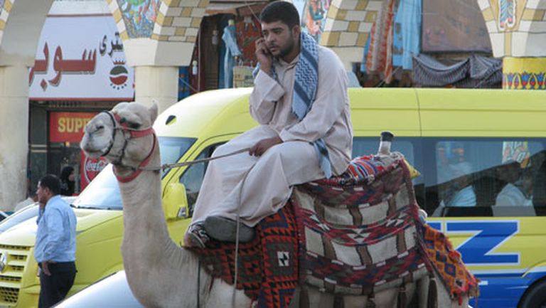 Šarmai ļoti tipiska ainiņa - beduīns uz kamieļa runā pa mobilo telefonu 