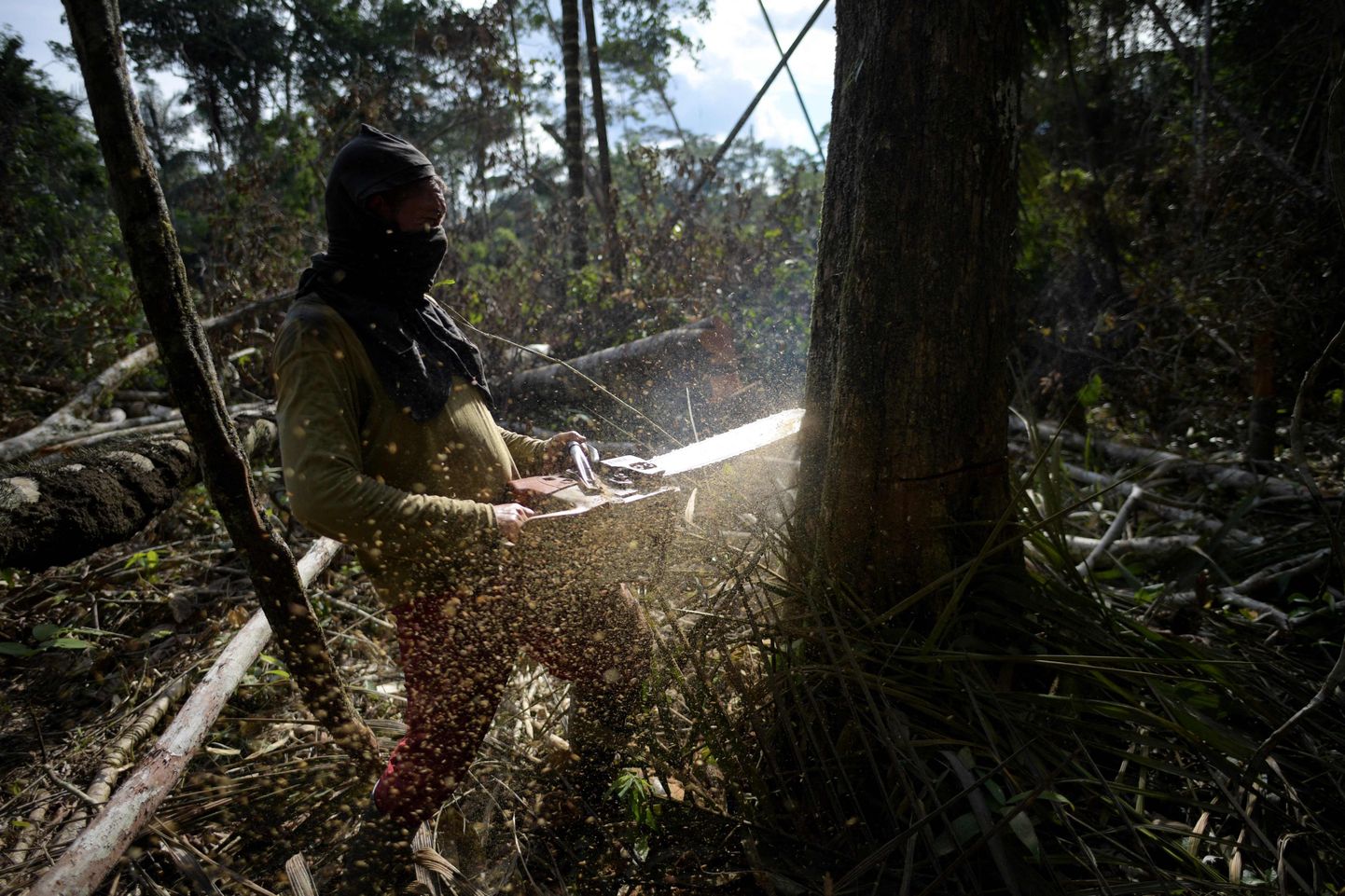 Colombia põlluharija võtab kokapõõsaste istutamiseks maha metsa Amazonase vesikonnas Guaviare regioonis.