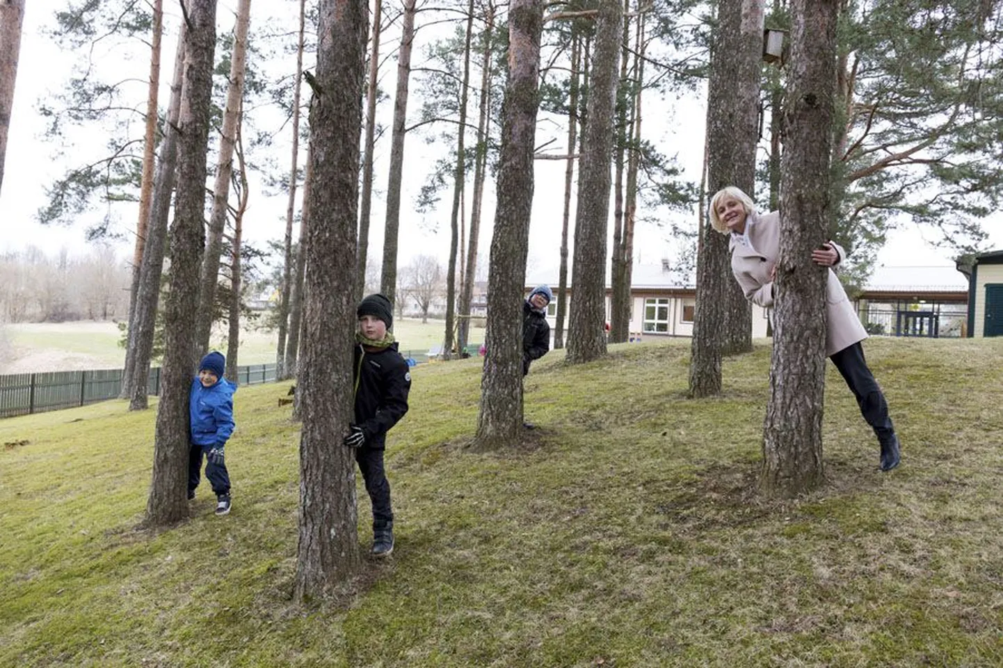 Lasteaia direktor Luive Rehand ning Sten, Karl ja Asser ootavad südame põksudes, millal valmib mändide vahele seiklusrada.