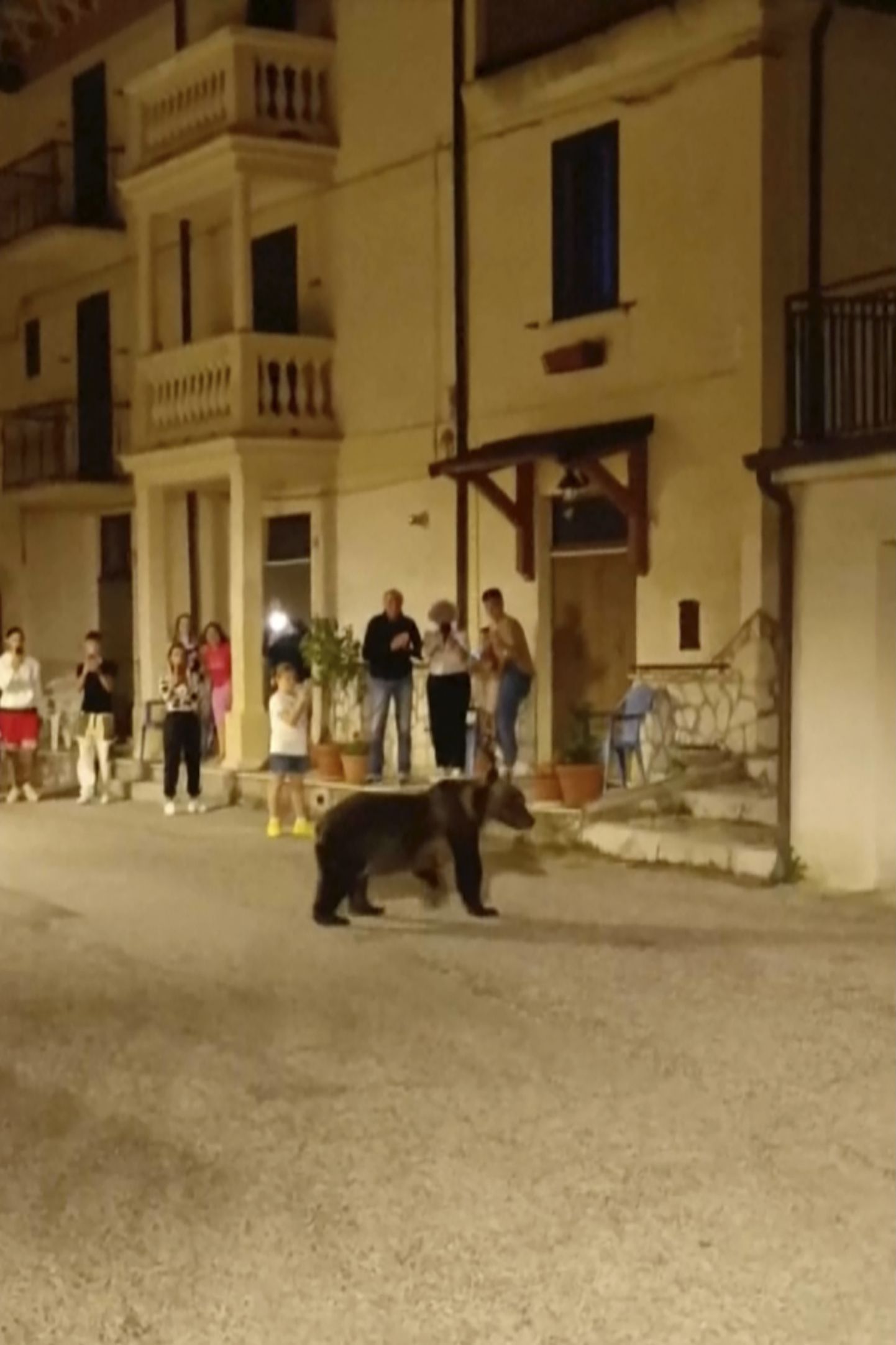 Karu uitamas San Sebastiano Dei Marsi linnas.