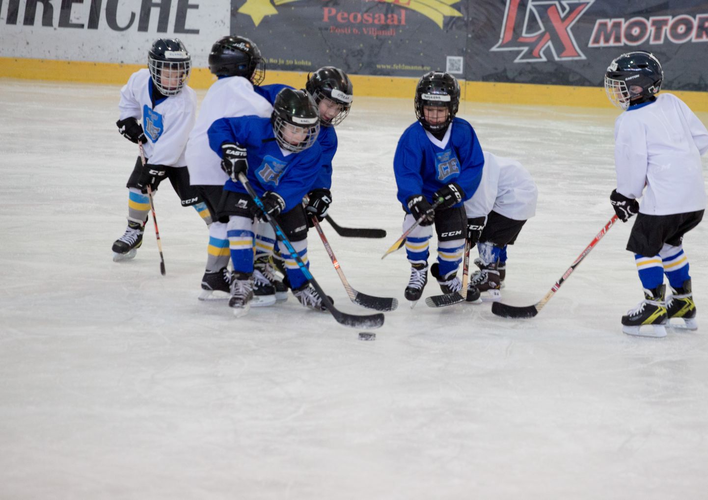 Jäähokiliidu andmetel treenib Viljandi hokiklubi juures 29 last.