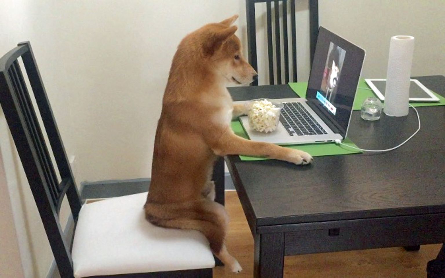 Suns pie datora