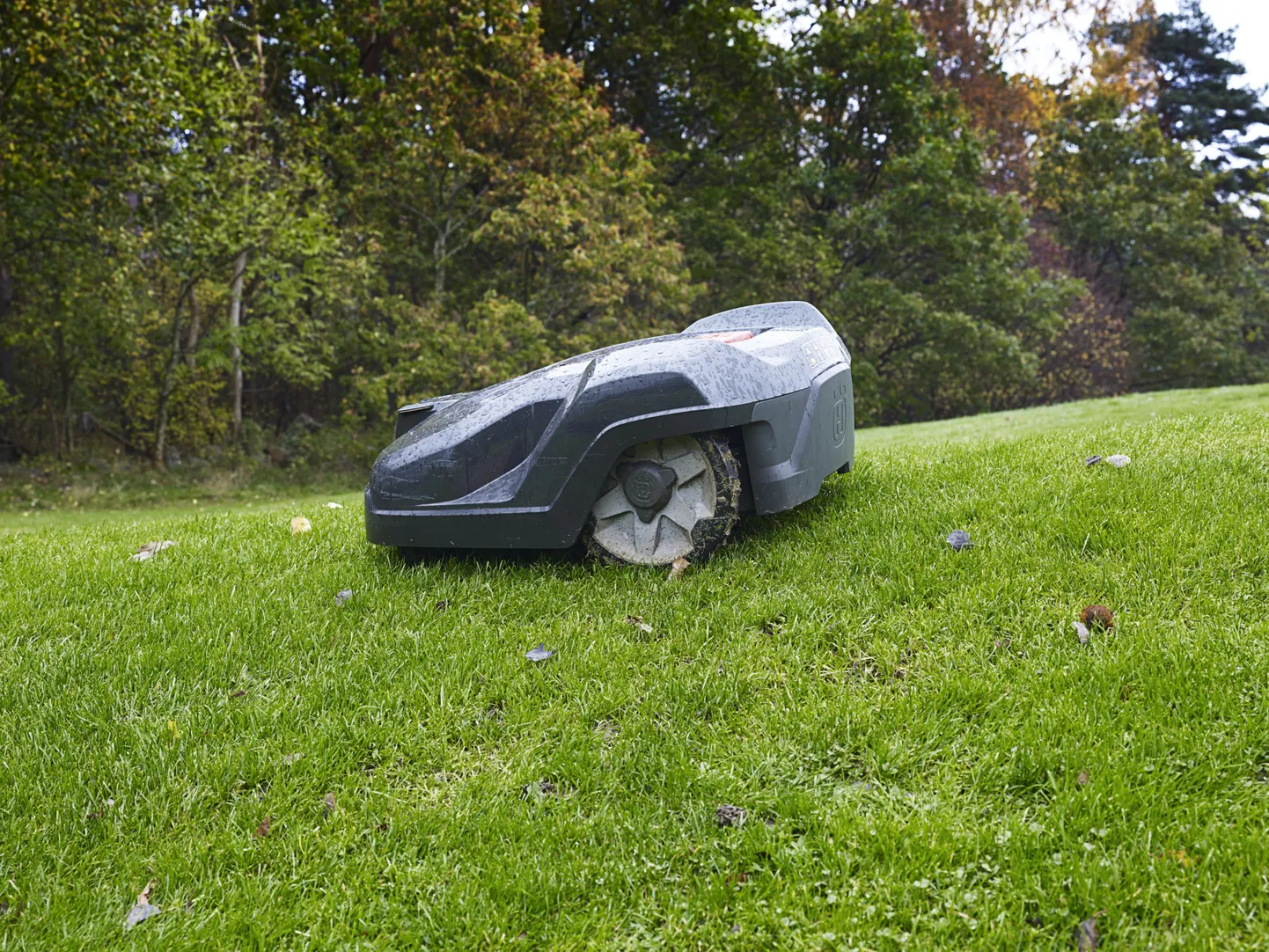 Robot niidab muru sageli, aga lõikab korraga vaid paar millimeetrit, mis on murule kõige tervislikum.