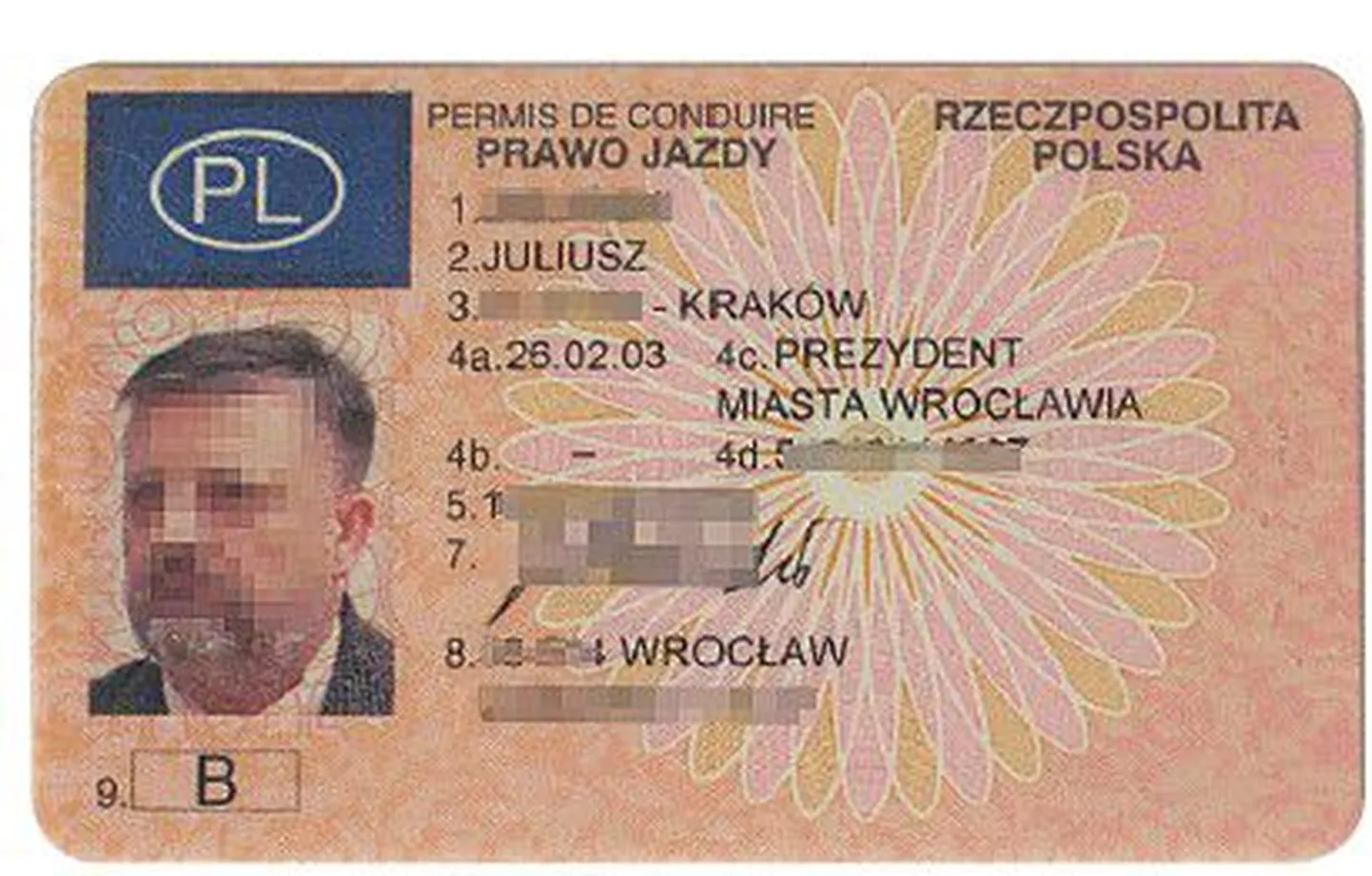 Полицейские Ирландии выписывали штрафы водителю Prawo Jazdy, что по-польски значит «водительское удостоверение».