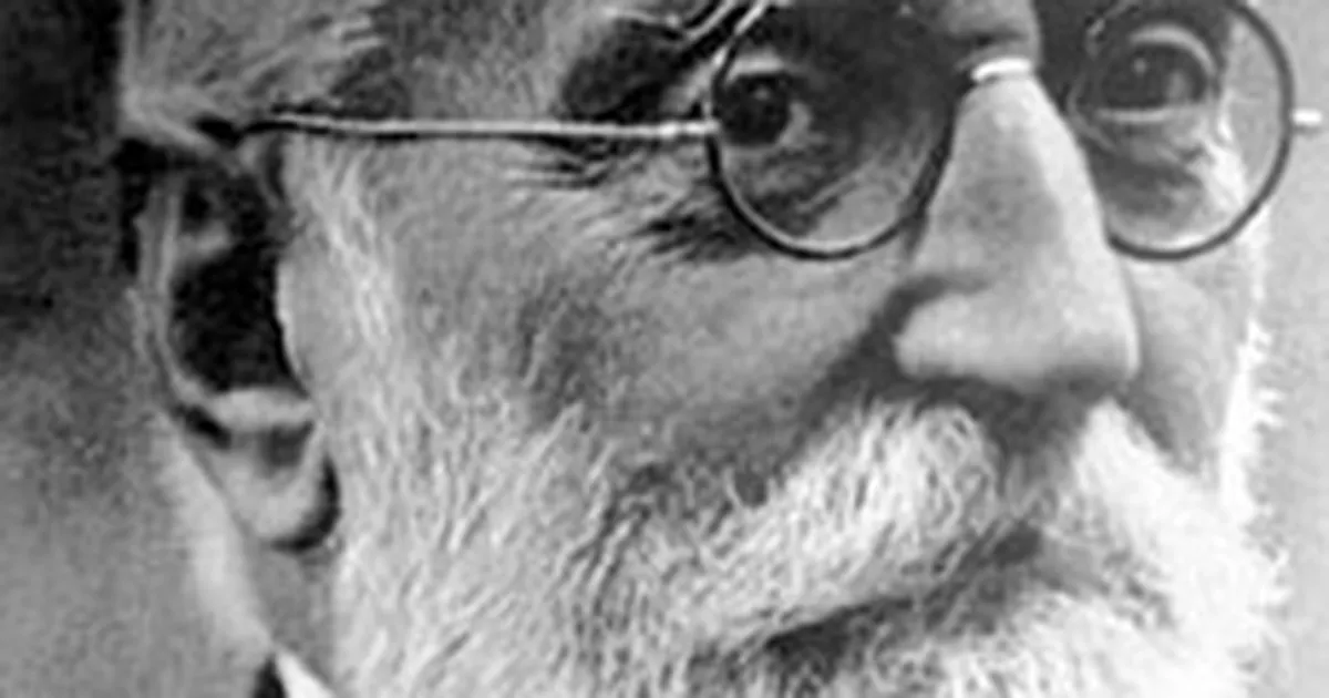 Миге́ль де унаму́но-и-ху́го. Мигель де унамуно-и-хуго. Мигель унамуно туман. Мигель унамуно стихи. Мигель де унамуно философ.