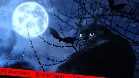 ФАКТОМАТ ⟩ Стоит ли кошатникам бояться сатанистов в Вальпургиеву ночь и на Хэллоуин?