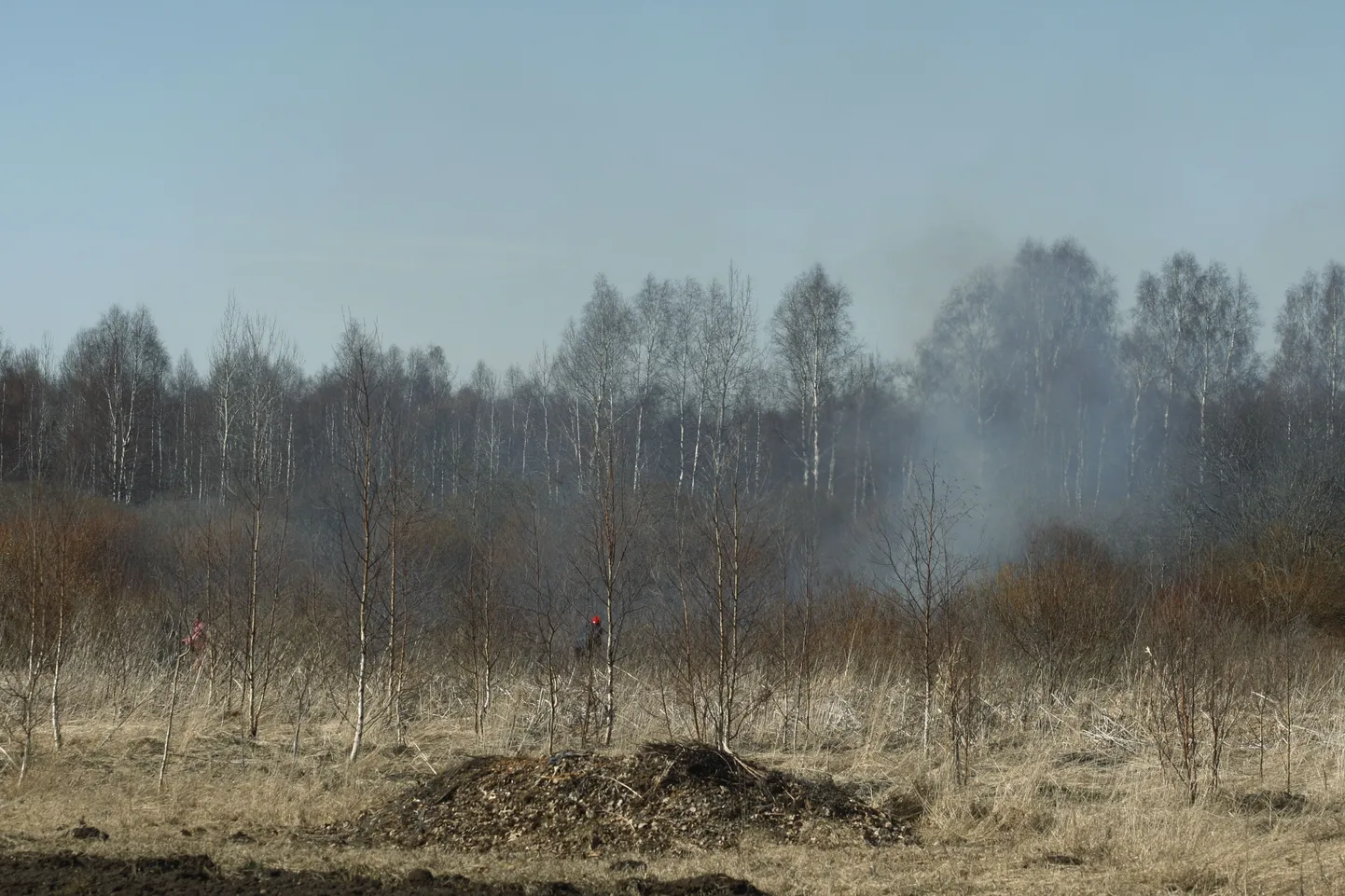 Kulupõleng.